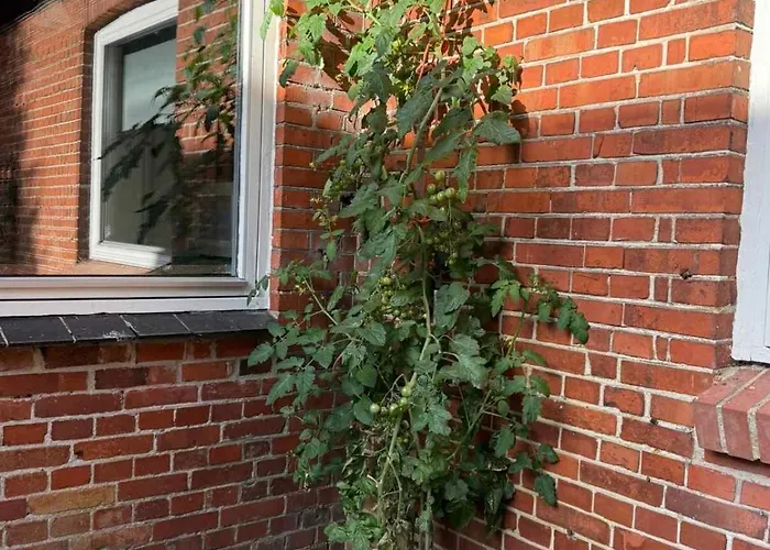 Bauernhof The Coziest Farm In The Countryside *